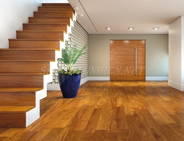 Mặt bậc cầu thang gỗ tự nhiên Mặt bậc cầu thang gỗ tự nhiên