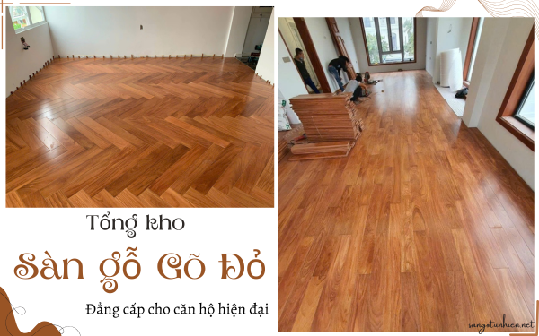 Sàn gỗ Gõ Đỏ Lào, Nam Phi cao cấp giá rẻ nhất 2026 Sàn gỗ Gõ Đỏ Lào, Nam Phi cao cấp giá rẻ nhất 2026