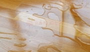 Sàn gỗ có chống thấm nước không???