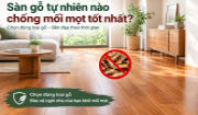 Top 5 sàn gỗ tự nhiên chống mối mọt tốt nhất
