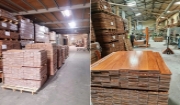 Tổng kho sàn gỗ tự nhiên Miền Bắc | Công ty Sàn Đẹp Tổng kho sàn gỗ tự nhiên Miền Bắc | Công ty Sàn Đẹp