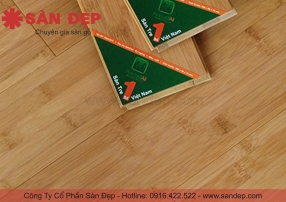 sàn tre ép khối VDA 03C