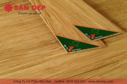 sàn tre ép khối VDA 03N