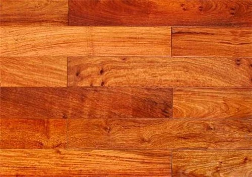 Gỗ Hương là gì? Có nên mua sàn gỗ Hương Lào cao cấp?