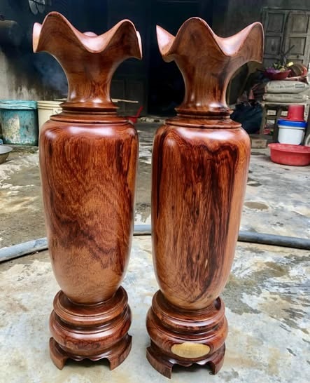 Lục bình gỗ Cẩm gia lai