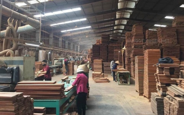  Nhà máy sản xuất sàn gỗ Cà Chít Sàn Đẹp
