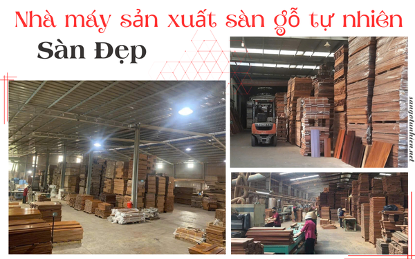 Nhà máy sản xuất sàn gỗ tự nhiên Sàn Đẹp
