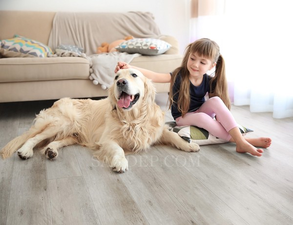 Nước tiểu của vật nuôi có thể thấm sâu vào sàn gỗ