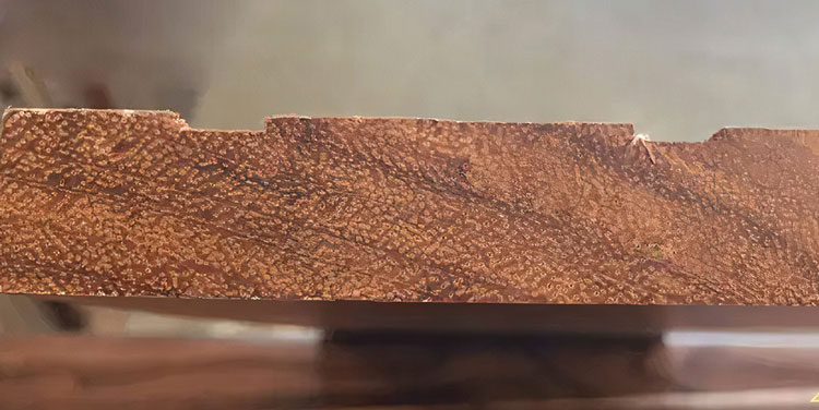 Phân biệt sàn gỗ Căm Xe Lào và Nam Phi dựa vào thớ gỗ