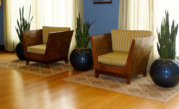 Sàn gỗ Cà Chít vàng