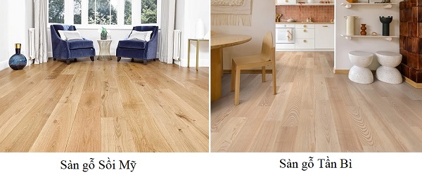 Sàn gỗ Sồi Mỹ và sàn gỗ Tần Bì
